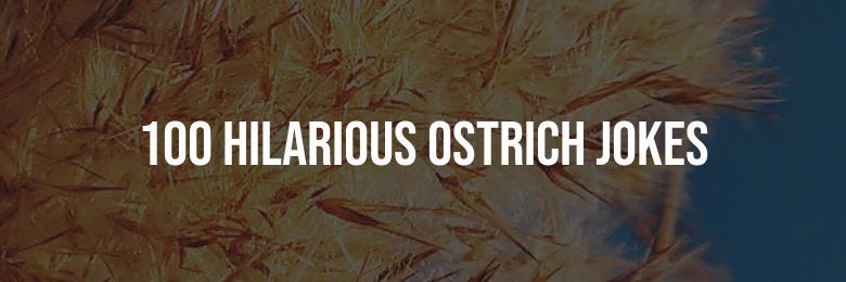 100 Hilarious Ostrich Jokes