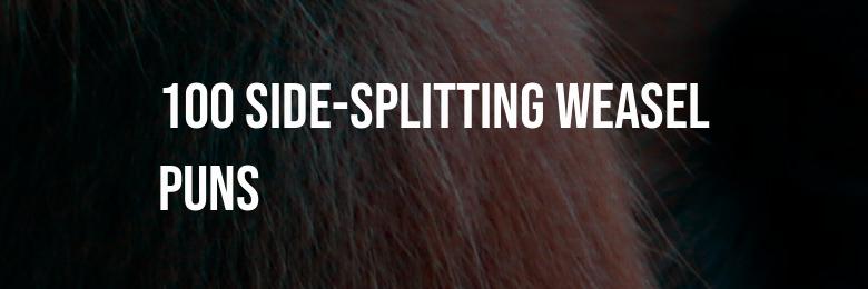 100 Side-Splitting Weasel Puns