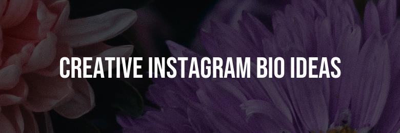 180 Cool, Funny, and Creative Instagram Bio Ideas: The Ultimate Compilation