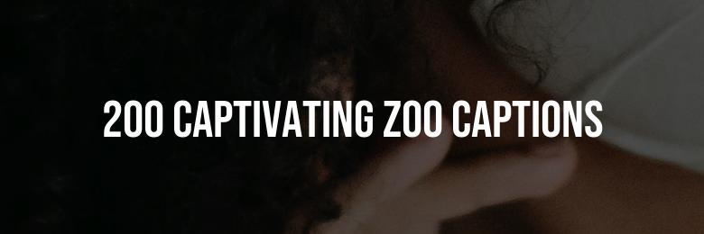 200 Captivating Zoo Captions for Instagram Quotes in 2024