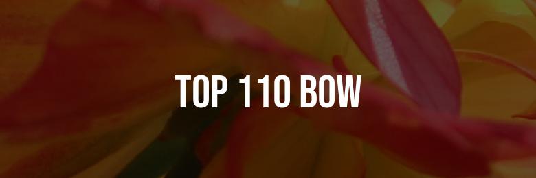 2024’s Top 110 Bow and Arrow Puns