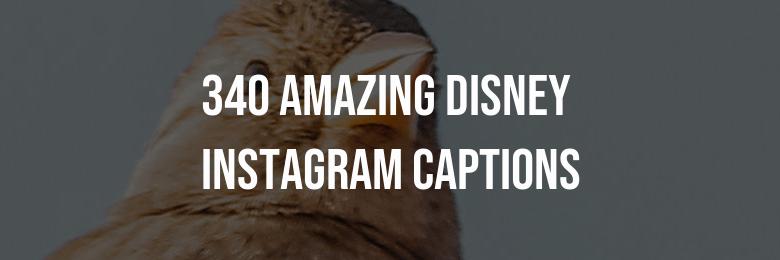 340 Amazing Disney Instagram Captions – Puns and Quotes