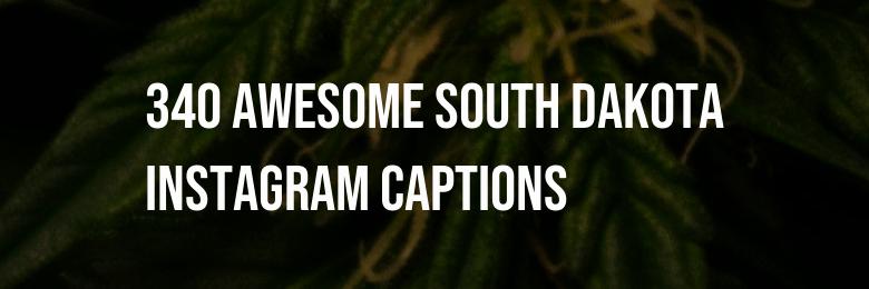 340 Awesome South Dakota Instagram Captions, Puns, and Bios