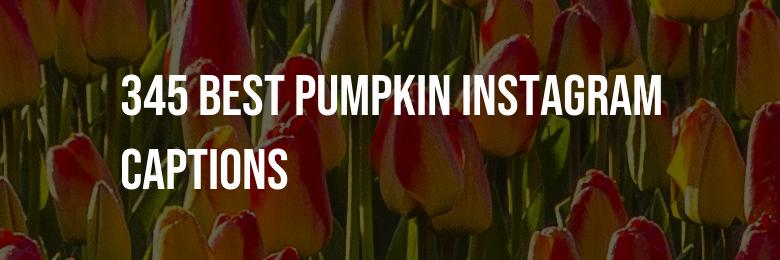 345 Best Pumpkin Instagram Captions – Funny Puns and Inspirational Quotes