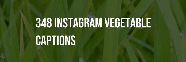 348 Instagram Vegetable Captions for a Cool and Punny Feed