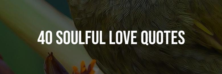 40 Soulful Love Quotes for Your Perfect Match