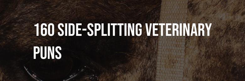 A Collection of 160 Side-Splitting Veterinary Puns